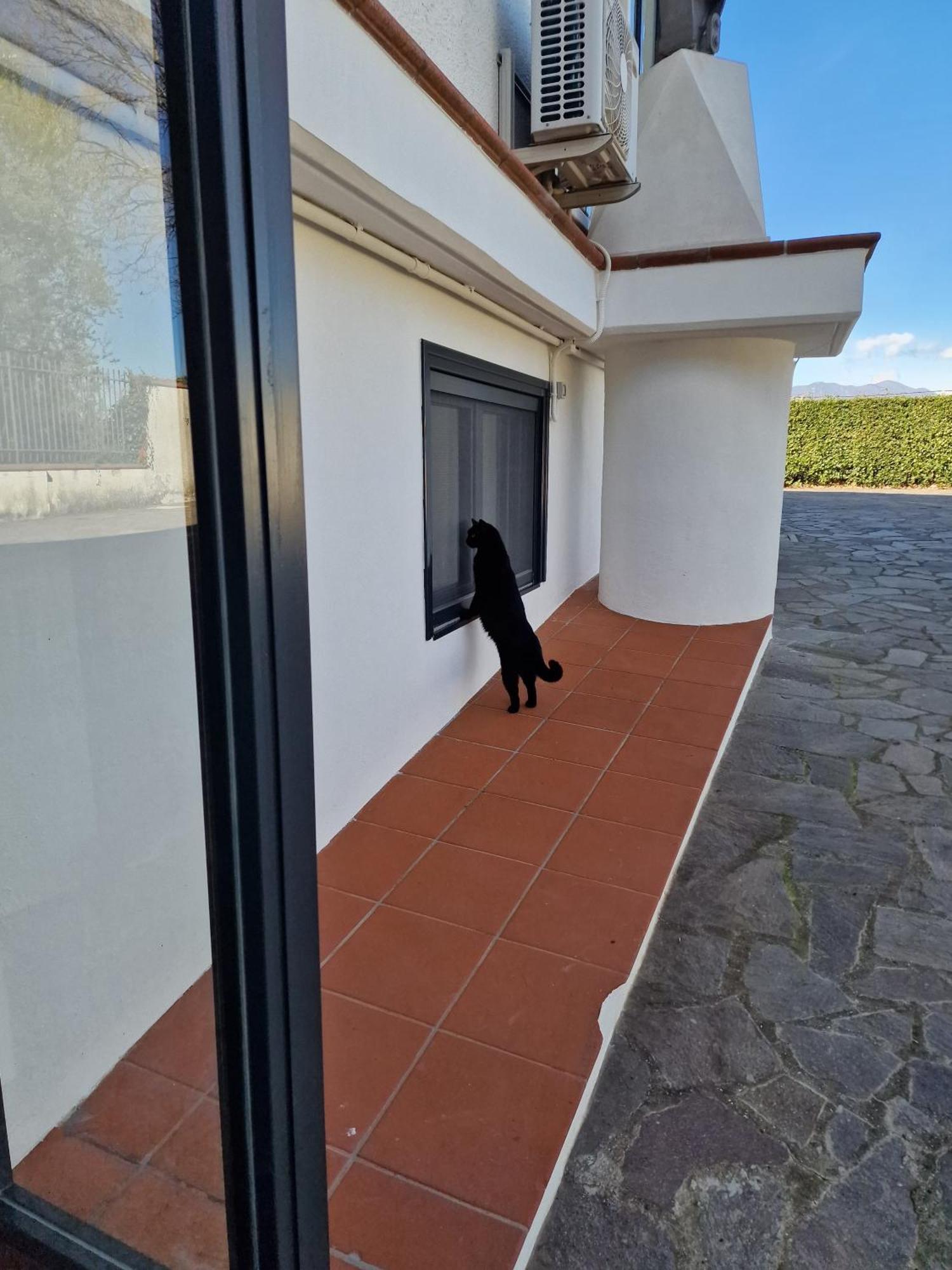 Villa Mandetta B&B Santo Stefano del Sole Екстер'єр фото
