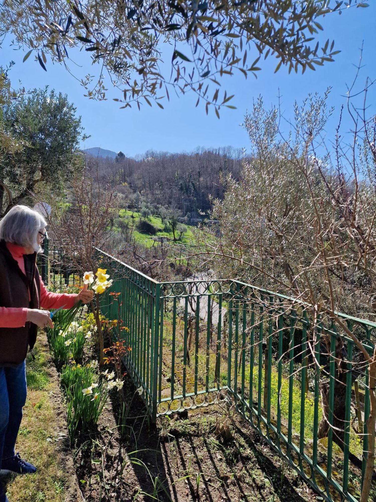Villa Mandetta B&B Santo Stefano del Sole Екстер'єр фото
